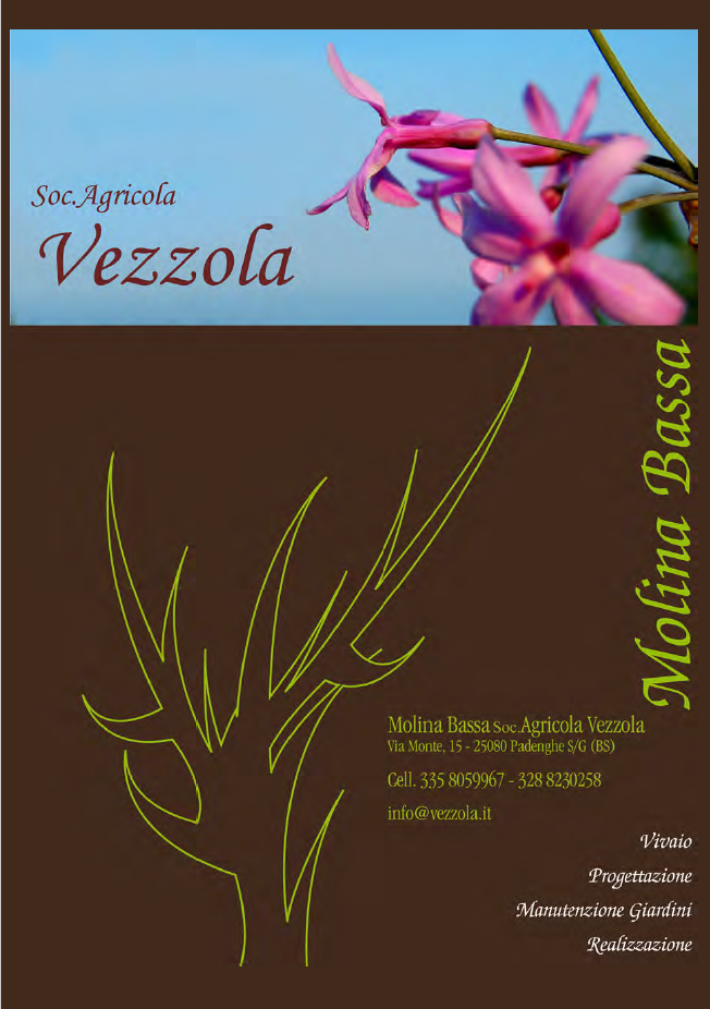Vezzola Molina Bassa